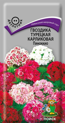 Семена Гвоздика Карликовая Пиноккио 0,3 г, изображение