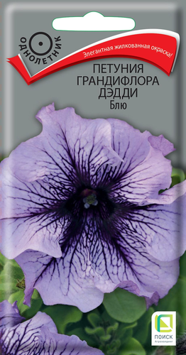 Семена петуния дэдди блю, изображение