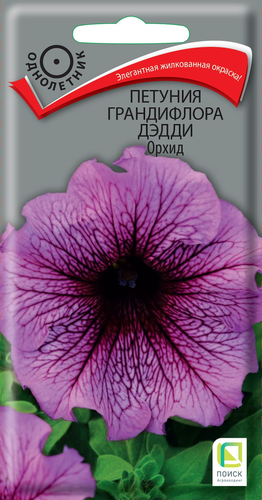 Семена петуния дэдди орхид, крупный план