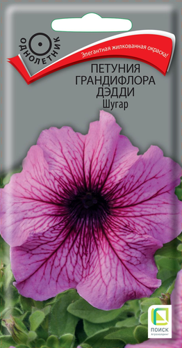 Семена петуния дэдди шугар, картинка