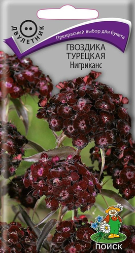 Семена Гвоздика Турецкая Нигриканс 0,3 г, изображение
