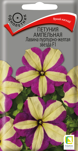 Семена Петуния Пурпурно-Жёлтая Звезда 10 Шт, картинка