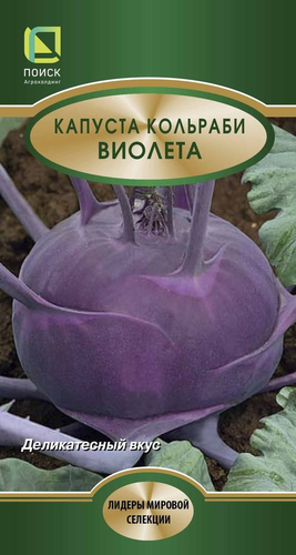 Семена Капусты Кольраби виолета 0,5 г, фото