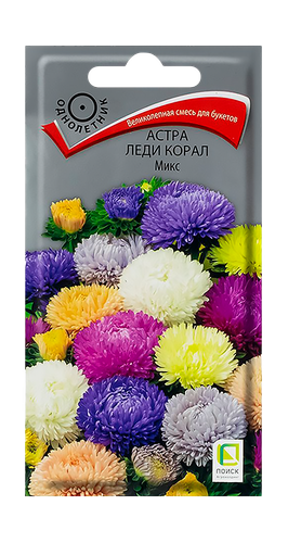 Семена Астра Леди Корал Микс 0,1гр, фото