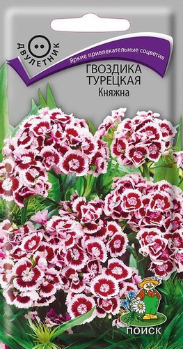 Семена гвоздика турецкая княжна, картинка