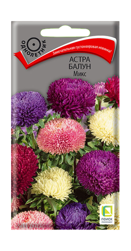 Семена Астра Балун Микс 0,1гр, крупный план