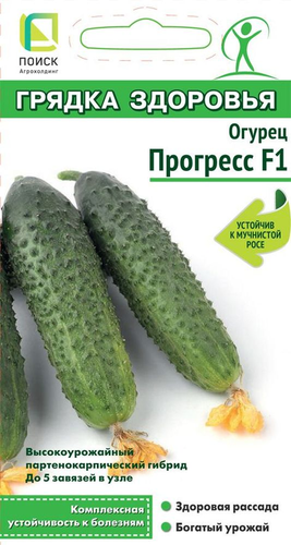 Семена Огурца Прогесс F1 12 шт, фотография