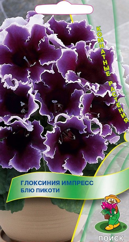 Семена Глоксиния Импресс Блю Пикоти 5 Шт, детальное фото