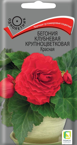 Семена Бегония Крупноцветковая Красная 5 Шт, вид