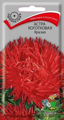 Семена Астра Коготковая Красная 0,3 г, вид