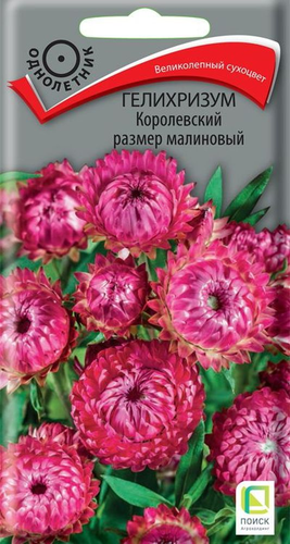 Семена Гелихризум Королевский размер малиновый 0,1 г, детальное фото