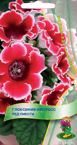 Семена Глоксиния Импресс Ред Пикоти 5 Шт, фотография