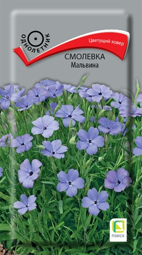 Семена Смолевка Мальвина, фото