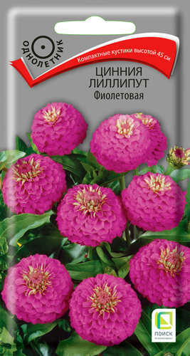 Семена Цинния лиллипут Фиолетовая 0,4 гр, детальное фото