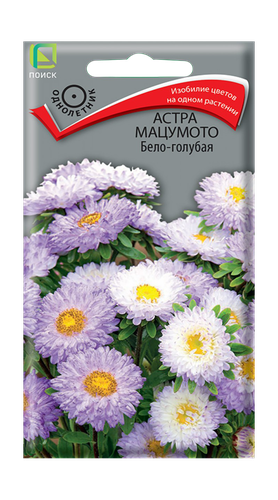 Семена Астра мацумото Бело-голубая 0,1гр, вид