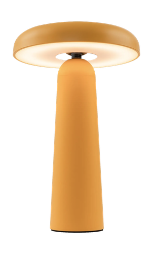 Аккумуляторный светильник Freya FR6109TL-L4OR Желтый LED, детальное фото