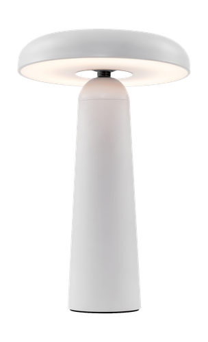 Аккумуляторный светильник Freya FR6109TL-L4W Белый LED, фото