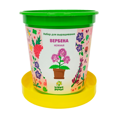 Набор для выращивания Happy Plant Вербена Нежная, фотография