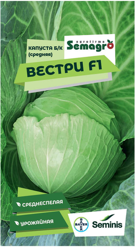 Семена капусты белокочанной SEMINIS ВЕСТРИ F1, картинка