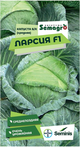 Семена капусты белокочанной SEMINIS ЛАРСИЯ F1, вид