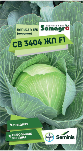 Семена капусты белокочанной SEMINIS СВ 3404 ЖЛ F1, крупный план