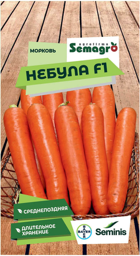 Семена моркови SEMINIS НЕБУЛА F1, крупный план