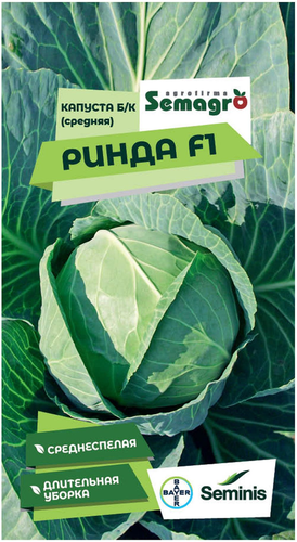 Семена капусты белокачанной SEMINIS РИНДА F1, детальное фото