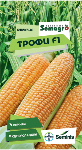 Семена кукурузы SEMINIS ТРОФИ F1, изображение