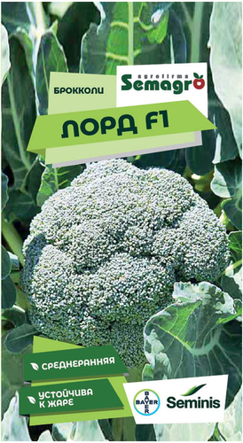 Семена брокколи SEMINIS ЛОРД F1, картинка