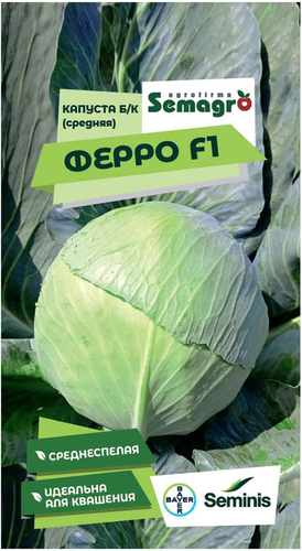 Семена капусты белокочанной SEMINIS ФЕРРО F1, изображение