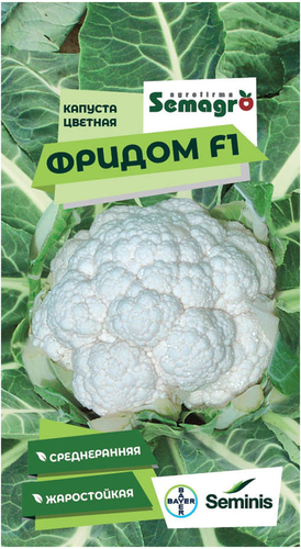 Семена цветной капусты SEMINIS ФРИДОМ F1, картинка