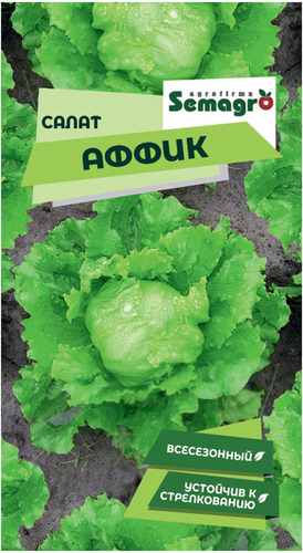 Семена салата SEMINIS АФФИК, детальное фото