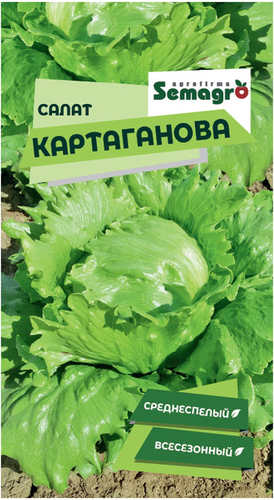 Семена салата SEMINIS КАРТАГАНОВ, детальное фото