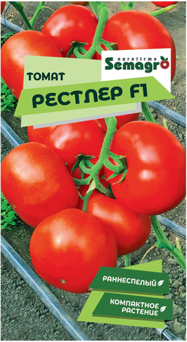 Семена томата SEMINIS РЕСТЛЕР F1, детальное фото