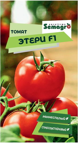 Семена томата SEMINIS ЭТЕРИ F1, фотография