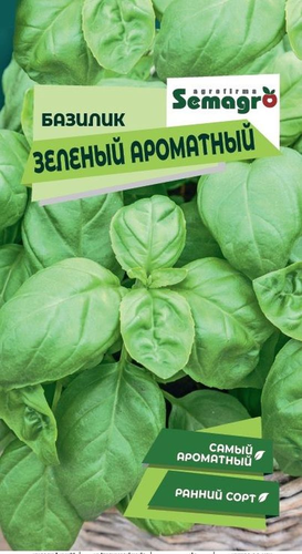 Семена Базилика SEMAGRO Зелёный Ароматный, фото