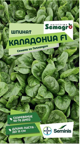 Семена шпината SEMINIS КАЛАДОНИА F1, 2 г, фото