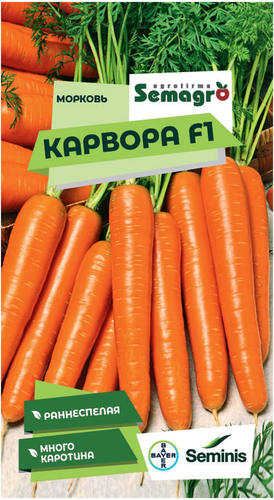 Семена моркови SEMINIS КАРВОРА F1, изображение