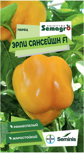 Семена перца SEMINIS ЭРЛИ САНСЕЙШЕН F1, крупный план