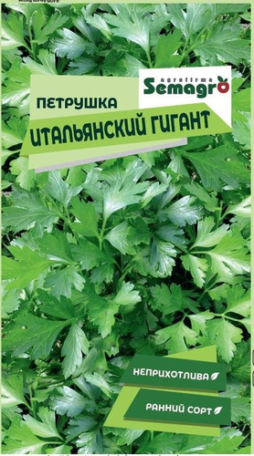 Семена Петрушки SEMAGRO Итальянский Гигант, крупный план