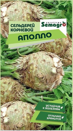 Семена Сельдерея корневого SEMAGRO Аполло, изображение
