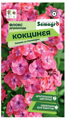 Семена Флокс SEMAGRO Друммонда Кокцинея 0,1 г, фото