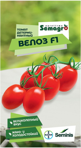 Семена томата SEMINIS ВЕЛОЗ F1, вид