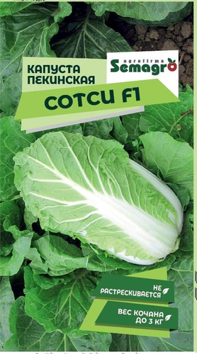 Семена Капусты пекинской SEMAGRO Сотси F1, вид
