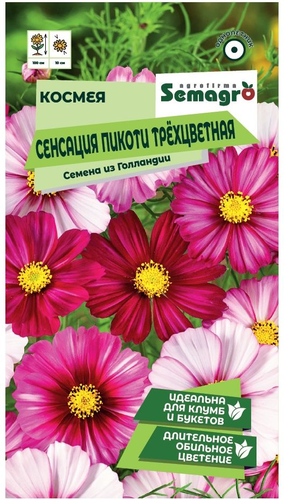 Семена Космеи SEMAGRO Сенсация Пикоти трёхцветная 0,3 г, изображение