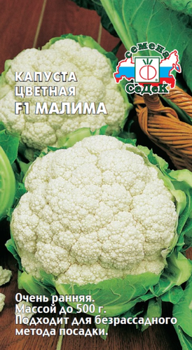 Семена капуста малима, крупный план