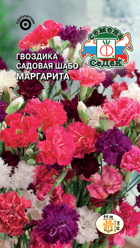 Семена цветок Гвоздика многоцветный, детальное фото