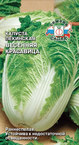 Семена капуста весенняя красавица, изображение