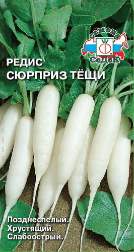 Семена редис сюрприз тещи, фото