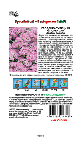 Семена цветок Гвоздика, вид